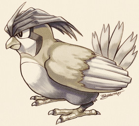 ambiguous_gender beak feathers feral simple_background solo standing tail tail_feathers white_background juanito_medina nintendo pokemon avian bird generation_1_pokemon pidgeotto pokemon_(species) hi_res