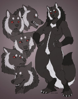 4_toes 5_fingers anthro black_body black_fur black_nose body_hair breasts fangs feet female fingers fur genitals grey_body grey_fur happy_trail hindpaw humanoid_hands nipples nude nude_anthro nude_female paws pubes red_sclera solo teeth toes vulva kaylii silver_(killerwolf1020) canid canine canis mammal wolf 2026 expression_sheet hi_res