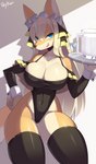 anthro big_breasts breasts clothed clothing female fur hair kemono looking_at_viewer smile solo tongue skykain faeki_(character) canid canine fox mammal 2023 hi_res