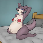 animated anthro areola beastars bed bedding bedroom breasts canid canine canis colored female furniture hand_behind_head hi_res inside inverted_nipples j5furry juno_(beastars) looking_at_viewer mammal nipples no_sound nude_anthro nude_female pillow pregnant pregnant_anthro pregnant_female purple_eyes sitting smile solo tail webm wolf