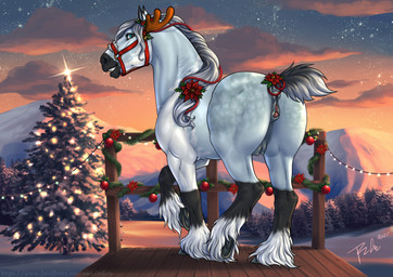 animal_genitalia animal_vulva anus blue_eyes blue_sky cloud equine_anus equine_genitalia equine_vulva female female_feral feral four_pointed_star fur genitals grey_body grey_fur grey_mane grey_tail grin looking_at_viewer mane orange_sky outside plant puffy_anus raised_tail sky smile solo star sunset tail tail_anus tree vulva white_body white_fur winter rufciu equid equine horse mammal 2025 dated hi_res signature