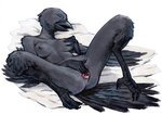 2020 4_toes absurd_res anatomically_correct anatomically_correct_genitalia animal_genitalia anisodactyl anthro avian avian_feet beak bedding bird bird_legs black_body black_feathers blanket bodily_fluids breasts cloaca corvid corvus_(genus) cum cum_in_cloaca cum_inside dhamill digitigrade exposed_breasts eyes_closed feathers feet female genital_fluids genitals hi_res lying mallory_(house_of_immortals) nipples non-mammal_breasts non-mammal_nipples nude okko on_back open_mouth orgasm orgasm_face oscine passerine raven simple_background solo toes towel wings