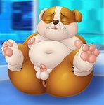 anthro anus balls blush butt cute_fangs eyes_closed fangs feet genitals holding_both_legs holding_legs_up legs_up male obese on_ground overweight pawpads paws penis perineum presenting presenting_anus presenting_hindquarters shota small_penis solo teeth tongue young sinood1e paw_patrol rubble_and_crew rubble_(paw_patrol) bulldog canid canine canis domestic_dog mammal mastiff molosser hi_res