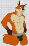 5_fingers anthro athletic biped black_eyes black_nose brown_ears brown_eyebrows brown_hair brown_nipples checkered checkered_background clothed clothing eyebrows fingers fur hair jockstrap looking_at_viewer male male_anthro multicolored_body navel nipples orange_body orange_fur partially_clothed partially_clothed_male pattern_background simple_background solo standing tan_body tan_fur tan_inner_ear underwear underwear_only whiskers white_background white_sclera unsafescapewolf fields_of_spring cory_(fields_of_spring) canid canine fox mammal 2024 digital_drawing_(artwork) digital_media_(artwork) hi_res portrait three-quarter_portrait