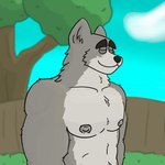 anthro biceps big_pecs body_hair broad_shoulders chest_hair chest_tuft eyebrows eyes_closed happy_trail light male musclegut muscular muscular_male nipples obliques outside pecs shirtless shirtless_male smile solo sunlight thick_eyebrows tuft artist_kodiff auto_greyruff canid canine canis mammal wolf digital_drawing_(artwork) digital_media_(artwork)