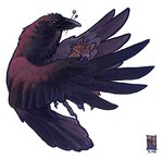 amara_telgemeier ambiguous_gender avian bird black_body canine coyote crow feathers feral magic_user mammal pins plain_background raven solo tribal_spellcaster voodoo_doll white_background witch_doctor
Rating: Safe
Score: 3
User: msc
Date: March 24, 2007