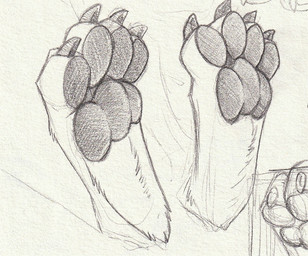 ambiguous_gender claws disembodied_foot feet foot_shot foot_tuft pawpads simple_background solo toe_claws tuft hufnaar ambiguous_species monochrome sketch