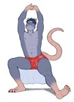 abs accessory anthro blue_hair bulge clothed clothing eyes_closed hair hands_above_head headband male muscular muscular_anthro muscular_male nipple_piercing nipples piercing sitting solo stretching underwear underwear_only purpledragonrei one-two mammal murid murine rat rodent hi_res