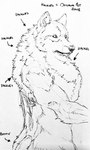 anthro butt fur male raised_hackles solo text lupesilverwind mythology canid canine canis mammal mythological_canine mythological_creature werecanid werecanine werecreature werewolf wolf hi_res monochrome traditional_media_(artwork)