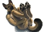 4_toes 5_fingers anthro biped black_pawpads butt digitigrade feet fingers foot_focus looking_at_viewer lying male nude nude_anthro nude_male on_back pawpads realistic realistic_anatomy realistic_anthro realistic_fur realistic_lighting realistic_shading simple_background smile solo toes white_background creeps canid canine canis domestic_dog german_shepherd herding_dog mammal pastoral_dog 4:3