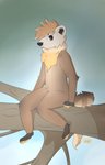 2020 5_fingers absurd_res ambiguous_gender american_pine_marten anthro arm_tuft branch claws cloud crotch_tuft day ear_tuft elbow_tuft feet fingers full-length_portrait fur gulonine hair hi_res highlights_(coloring) knee_bent knee_tuft kujo leg_tuft light lighting long_tail male mammal marten mustelid musteline neck_floof pawpads paws pine_marten plant portrait reflection shaded simple_background sitting sky solo tail teeth toes tree tuft whiskers