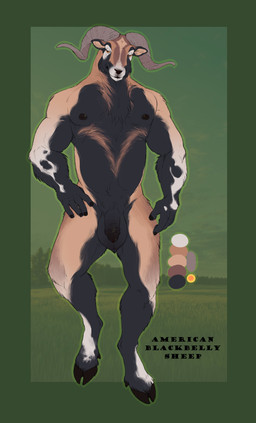 anthro balls chest_tuft cloven_hooves countershading flaccid genitals hooves horn humanoid_genitalia humanoid_penis looking_at_viewer male male_anthro musclegut muscular muscular_anthro muscular_male nipples nude nude_anthro nude_male overweight overweight_anthro overweight_male penis pubes reverse_countershading smile solo standing tuft chubchow bovid caprine mammal sheep 2023 absurd_res hi_res model_sheet