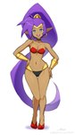 bikini blue_eyes breasts brown_body brown_skin cleavage clothed clothing ear_piercing ear_ring female footwear hair humanoid_pointy_ears long_hair looking_at_viewer navel not_furry open_mouth open_smile piercing pointy_ears ponytail purple_hair ring_piercing simple_background smile solo swimwear text two-piece_swimsuit revenant_(artist) shantae_(series) wayforward shantae genie humanoid 9:16 hi_res signature url