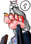 feet female hair hindpaw macro paws solo text white_hair yujiuchuixue canid canine canis domestic_dog fish hybrid mammal marine shark chinese_text