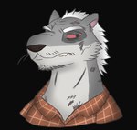 anthro duke_(echo) echo_(game) echo_(series) echo_project elderly elderly_male flannel_shirt fur grey_body grey_fur headshot_portrait male mammal missing_fur mustelid musteline onikuma_(artist) portrait receding_hairline solo stoat true_musteline weasel