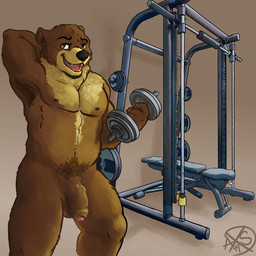 big_penis brown_body brown_fur exercise fur genitals gym humanoid_genitalia humanoid_penis male nude nude_workout penis solo workout alphasabre bear mammal 1:1 hi_res