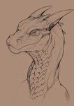 ambiguous_gender feral head_spikes horn long_neck mouth_closed narrowed_eyes pupils simple_background slit_pupils solo spikes spikes_(anatomy) khyaber mythology dragon mythological_creature mythological_scalie scalie absurd_res hi_res monochrome