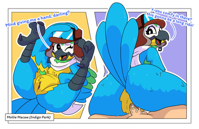 abstract_background anthro anthro_penetrated avian_feet balls beak big_butt black_eyes blue_body blue_feathers bodily_fluids bottom_heavy butt dialogue duo erection eyelashes faceless_character faceless_human faceless_male feathered_arms feathers female female_on_human female_penetrated genital_fluids genitals huge_butt human_on_anthro human_penetrating human_penetrating_anthro human_penetrating_female interspecies light-skinned_male light_body light_skin looking_at_viewer looking_back looking_back_at_viewer male male/female male_on_anthro male_penetrating male_penetrating_anthro male_penetrating_female multicolored_body multicolored_feathers nude nude_anthro nude_female nude_human nude_male on_bottom on_top one_eye_closed open_mouth open_smile penetration penis pilot_hat reverse_cowgirl_position scarf sex smile spread_legs spreading tail tail_feathers talking_to_viewer teal_body teal_feathers text thick_thighs vaginal vaginal_fluids vaginal_fluids_on_penis vaginal_penetration vulva white_body white_feathers white_scarf wide_hipped_anthro wide_hipped_female wide_hips yellow_body yellow_feathers impstripe indigo_park mollie_macaw avian bird human macaw mammal neotropical_parrot parrot true_parrot 2025 digital_drawing_(artwork) digital_media_(artwork) english_text hi_res