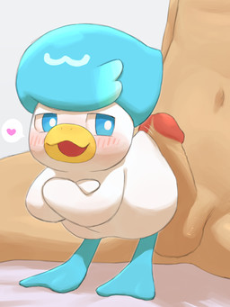 ambiguous_feral ambiguous_focus ambiguous_gender ambiguous_on_human balls bestiality biped bipedal_feral blue_body blue_eyes blush blush_lines crossed_arms duo erection feral feral_focus genitals glans grey_background head_tuft heart_reaction human_on_feral humanoid_genitalia humanoid_penis interspecies looking_at_another looking_back looking_back_at_another male male_human mostly_offscreen_character mostly_offscreen_human mostly_offscreen_male multicolored_body navel open_mouth open_smile penis pokephilia simple_background slim slim_human slim_male smile solo_focus teasing_with_butt three-quarter_view tuft two_tone_body white_body beageiso nintendo pokemon generation_9_pokemon human mammal pokemon_(species) quaxly 2026 3:4 digital_drawing_(artwork) digital_media_(artwork) hi_res shaded soft_shading