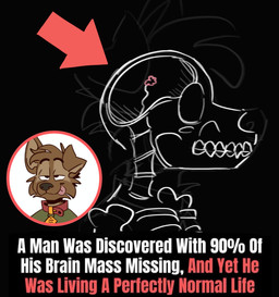 anthro black_nose brown_body brown_fur clothing collar directional_arrow fur green_clothing green_shirt green_topwear half-closed_eyes male narrowed_eyes outline radiograph red_text shirt silly small_brain solo text tongue tongue_out topwear white_text tinydeerguy matt_riskely canid canine canis domestic_dog mammal english_text hi_res