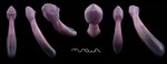 animal_genitalia animal_penis black_background disembodied_penis erection genital_shot genitals hyaenid_penis long_penis male penile_spines penis penis_sheet penis_shot pink_penis simple_background solo urethra xmurowelx 3d_(artwork) digital_media_(artwork) hi_res