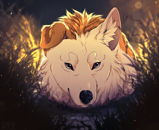 black_nose blue_eyes brown_body brown_fur feral fur grass inner_ear_fluff looking_at_viewer male one_ear_up partially_submerged plant solo tuft water white_body white_fur shyryp canid canine canis mammal wolf absurd_res digital_media_(artwork) hi_res