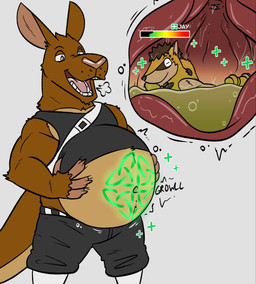 abdominal_bulge alternate_species anthro belly big_belly black_bottomwear black_clothing black_shirt black_tank_top black_topwear bottomwear breath brown_body brown_eyes brown_fur brown_skin claws clothing cutaway duo eyes_closed finger_claws fur gameplay_mechanics grey_background gui hand_on_belly hand_on_own_belly hands_behind_head healing healing_vore health_bar inside_stomach internal long_ears looking_down looking_down_at_self magic_user male male_pred male_prey narrowed_eyes navel open_mouth oral_vore rumbling_stomach runes safe_vore shirt simple_background smile sound_effects tail tan_body tan_fur tank_top teeth text topwear vore yellow_body yellow_fur stealthystripes febrooary vore_day dasyuromorph kangaroo macropod mammal marsupial numbat character_name hi_res