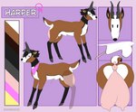 animal_genitalia anus balls blush breasts butt feral genitals gynomorph intersex penis puffy_anus sheath solo teats udders sammehchub harper_(maxwellgunner) antelope bovid mammal pronghorn harper_(disambiguation) absurd_res hi_res model_sheet trans_(lore) trans_woman_(lore)