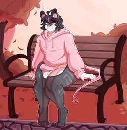 anthro bench clothed clothing erection heterochromia male on_bench partially_clothed public public_nudity sitting sitting_on_bench solo anonymous_artist nico_(labrattt) mammal murid murine rat rodent