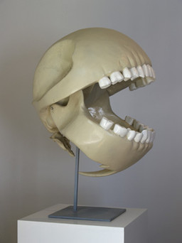 bone male nightmare_fuel not_furry real realistic skeleton skull teeth what what_has_science_done where_is_your_god_now zero_pictured le_gentil_garcon bandai_namco pac-man_(series) pac-man sphere_creature grandfathered_content low_res
