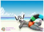 anthro beach biped black_body black_fur blue_body blue_eyes blue_fur border bottomwear butt clothed clothing cloud detailed_background fur green_body green_fur grey_body grey_fur looking_at_viewer lying male markings multicolored_body multicolored_fur on_front outside pose rainbow_spots ring_(marking) ringed_tail sand sea seaside shorts sky solo spots striped_markings striped_tail stripes suggestive tail tail_markings topless water white_body white_border white_fur yellow_sclera klynolder lemur mammal primate ring-tailed_lemur strepsirrhine 2014 absurd_res hi_res pinup