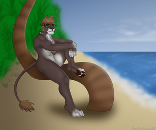 abs anthro beach hair jewelry looking_aside male muscular necklace necklace_only nude nude_anthro nude_male palm_tree pawpads plant sand sitting smile solo tail tail_tuft tree tuft water rahir kingdom_hearts square_enix lion_sora sora_(kingdom_hearts) felid lion mammal pantherine 6:5 hi_res