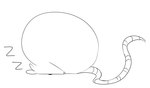 ambiguous_gender curled_up faceplant feral fur long_tail overweight overweight_ambiguous overweight_feral quadruped rat_tail round_ears side_view simple_background sleeping snout solo sound_effects tail vowelless vowelless_sound_effect white_background zzz maddeku mammal murid murine rat rodent 2020 black_and_white digital_drawing_(artwork) digital_media_(artwork) full-length_portrait monochrome portrait sketch