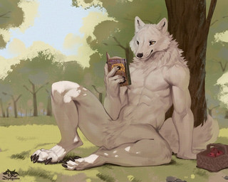 anthro basket biped book claws container detailed_background digitigrade featureless_crotch finger_claws fur holding_book holding_object male male_anthro monotone_body monotone_fur outside paws reading reading_book sitting solo toe_claws white_body white_fur yellow_eyes zephyxus canid canine canis mammal wolf 2025 digital_media_(artwork)