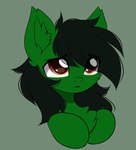 ambiguous_gender black_hair brown_eyes feral fur green_background green_body green_fur green_inner_ear_fluff hair inner_ear_fluff quadruped simple_background solo tuft airiniblock hasbro my_little_pony fan_character kendall_wilson_(oc) equid equine horse mammal pony 2021 absurd_res bust_portrait green_theme hi_res portrait