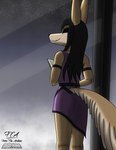 anthro black_eyes black_hair book brown_body brown_fur clothing cloud dress female fur hair holding_object looking_at_viewer looking_back low-angle_view purple_clothing rear_view sky solo standing star window from_the_archives canid canine canis jackal mammal