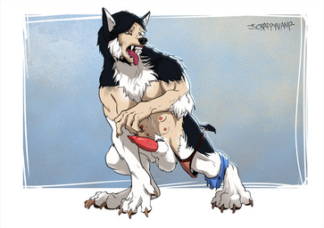 4_toes animal_genitalia animal_penis anthro arm_tuft athletic athletic_human balls big_balls big_penis biped_to_quadruped black_body black_fur black_hair black_nose black_pawpads blue_background blue_eyes body_hair border breasts breath brown_claws brown_eyes canine_genitalia canine_penis cheek_tuft claw_growth claws clothing clothing_scraps crouching dewclaw digitigrade elbow_tuft erection facial_tuft fangs feet female finger_claws fingers ftg_transformation fti_transformation fur fur_growth gender_transformation genitals growth gynomorph hair hair_to_fur hands_to_paws happy_trail heterochromia human_to_feral inner_ear_fluff intersex leg_muscles lipsticking looking_at_self looking_down mid_transformation mostly_nude multi_breast multicolored_body multicolored_fur neck_tuft nipples open_mouth panties panting pawpads paws penis pink_nipples pink_penis sharp_teeth sheath shocked simple_background snout snout_growth solo species_transformation surprised tail tail_growth teeth toe_claws toes tongue tongue_out torn_clothing transformation tuft two_tone_body two_tone_fur underwear vein veiny_penis white_body white_border white_fur scrappyvamp sylvia_sobaka canid canine canis domestic_dog human husky mammal nordic_sled_dog spitz werecanid werecanine werecreature weredog werehusky shaded signature