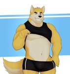 5_fingers anthro athletic_wear black_bottomwear black_clothing black_shirt black_shorts black_tank_top black_topwear bottomwear bottomwear_pull bulge clothed clothing clothing_lift clothing_pull fingers fluffy fluffy_tail front_view fur gym_bottomwear gym_shorts hotpants humanoid_hands male midriff multicolored_body multicolored_fur navel one_eye_closed pants pants_pull pecs scar shirt shirt_lift shorts simple_background smile solo standing tail tan_body tan_fur tank_top teeth topwear two_tone_body two_tone_fur wink yellow_body yellow_fur acario_(artist) remember_the_flowers cooper_krager canid canine canis mammal wolf 2024 absurd_res half-length_portrait hi_res portrait