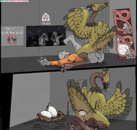 amazon_position balls beak before_and_after bestiality bestiality_impregnation black_beak black_claws blush blush_lines bodily_fluids bottomless breath claws cloacal cloacal_penetration clothed clothing cowgirl_position cum cum_in_cloaca cum_inside cutaway digitigrade dominant dominant_female duo egg erection excited feathered_wings feathers female female_on_top female_penetrated feral feral_on_top feral_penetrated from_front_position fur genital_fluids genitals gesture graffiti green_body green_fur hand_gesture heart_symbol human_on_bottom human_on_feral human_penetrating human_penetrating_female human_penetrating_feral impregnation internal internal_cloacal interspecies leaning_on_wall legs_up long_neck male male/female male_on_bottom male_penetrating male_penetrating_female nest on_bottom on_top oviduct oviposition penetration penile penile_penetration penis_in_cloaca pointing pointing_at_another questionable_consent sex sign stick_figure submissive submissive_male topwear topwear_only wings mustard_(welcometothevoid) scp_foundation d-class scp-1849 avian human mammal unknown_species comic hi_res sequence