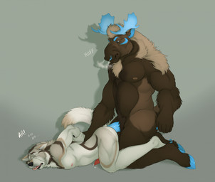 anal anal_penetration anthro antlers brown_body brown_fur duo from_behind_position fur genitals hands_behind_back horn kneeling male male/male muscular nude penetration penis sex side_view tail chubchow major_wolf markov_(benzo) canid canine canis deer mammal moose new_world_deer wolf hi_res