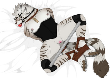 anthro ball_gag bdsm bondage bound clothed clothed_anthro clothed_female clothing collar corset dipstick_tail female female_anthro fur gag genitals lingerie markings nipple_clamp nipple_weights nipples restraints slave solo spread_legs spreader_bar spreading striped_body striped_fur striped_markings striped_tail stripes tail tail_markings topwear vulva g4briel_ink guild_wars fan_character charr felid humanoid mammal hi_res