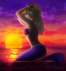 anthro beach bra bracelet breasts clothed clothing female fur grey_body grey_fur grey_hair hair jewelry long_hair looking_at_viewer looking_back looking_back_at_viewer outside pose sea seashell_bra seaside smile solo split_form sun sunset underwear water ocean_jewel masterofwolves99 aleka_(masterofwolves99) aquatic canid canine fox mammal merfolk 2022 hi_res pinup watermark