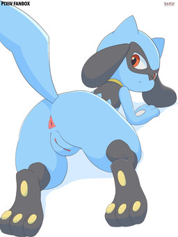 anus black_body black_fur blue_body blue_fur butt feet female female_feral feral fur genitals looking_at_viewer looking_back looking_back_at_viewer pawpads paws soles solo toes vulva sarox nintendo pokemon generation_4_pokemon pokemon_(species) riolu 2026 3:4 absurd_res hi_res