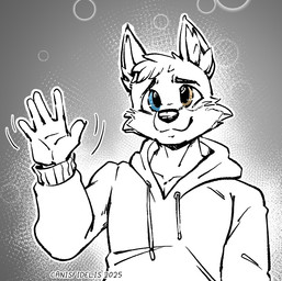 anthro blue_eyes cheek_tuft clothed clothing eyebrows facial_tuft front_view gesture green_eyes head_tuft heterochromia hoodie inner_ear_fluff male mouth_closed simple_background solo standing topwear tuft waving canisfidelis canid canine canis mammal wolf 2025 spot_color