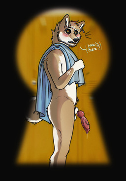 animal_genitalia animal_penis anthro canine_genitalia canine_penis exhibitionism genitals knot knotted_penis locker_room male penis solo voyeur kzero runo_arkvel_(kzero) canid canine canis domestic_dog mammal shiba_inu spitz hi_res