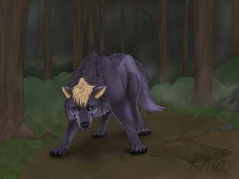 angry black_eyes claws detailed_background dirt feral fighting_pose fog forest fur grass grey_body growling hair looking_at_viewer male mane night pawpads plant pose rock roots shadow shrub solo tail teeth tree rhox canid canine canis mammal wolf 4:3 hi_res