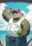 anthro beach belly big_belly black_nose bodily_fluids bottomwear brown_body clothing cloud food fruit hat headgear headwear humanoid_hands kemono male melon outside overweight overweight_male plant seaside shirt shorts solo sweat swimwear topwear water watermelon 7gaku_7 bear mammal 2022 hi_res