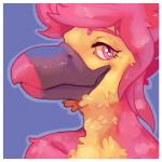 anthro beak border looking_at_viewer pink_eyes simple_background solo white_border smidgefish varian_nye avian 1:1 bust_portrait digital_media_(artwork) icon portrait