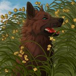 ambiguous_gender black_nose blue_eyes blue_sky brown_body brown_fur cheek_tuft cloud facial_tuft feral flower fur grass neck_tuft open_mouth outside plant red_tongue sky solo tongue tuft yellow_flower msdeadsoul blue_(bluedawg) canid mammal 1:1 hi_res