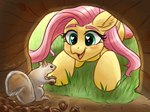 acorn ambiguous_gender blush brown_body duo eye_contact female feral food fruit grass hair heart_eyes heart_symbol looking_at_another nut_(fruit) open_mouth open_smile outside pink_hair plant smile wings yellow_body dandy_(artist) friendship_is_magic hasbro my_little_pony mythology fluttershy_(mlp) equid equine mammal mythological_creature mythological_equine pegasus rodent sciurid tree_squirrel 2021 hi_res signature